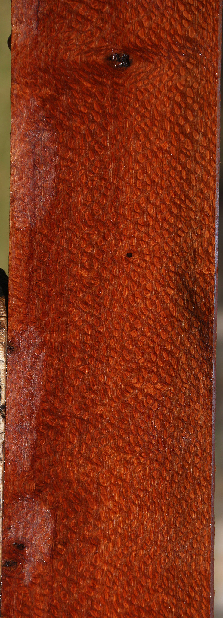 Extra Fancy Leopardwood Lumber