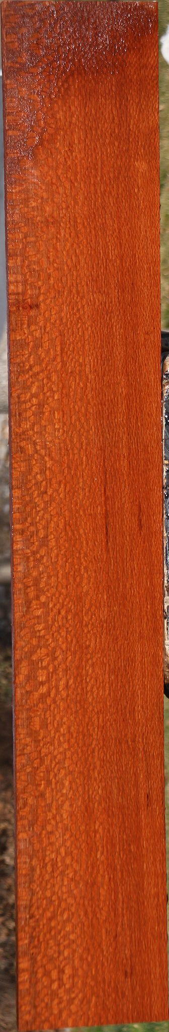 Extra Fancy Leopardwood Lumber