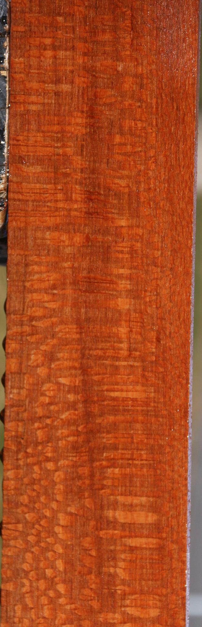 Extra Fancy Leopardwood Lumber