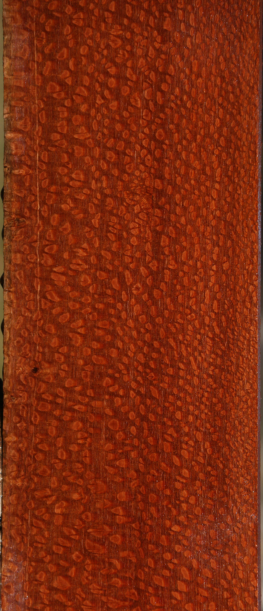 Exhibition Leopardwood Lumber