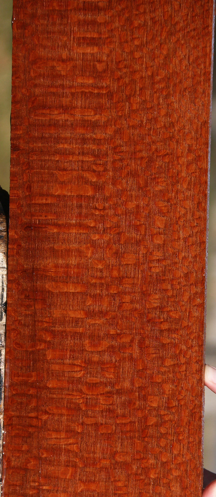 Extra Fancy Leopardwood Lumber