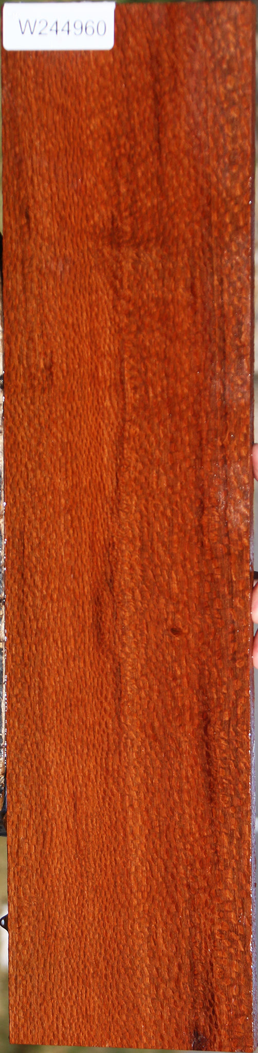 Extra Fancy Leopardwood Lumber