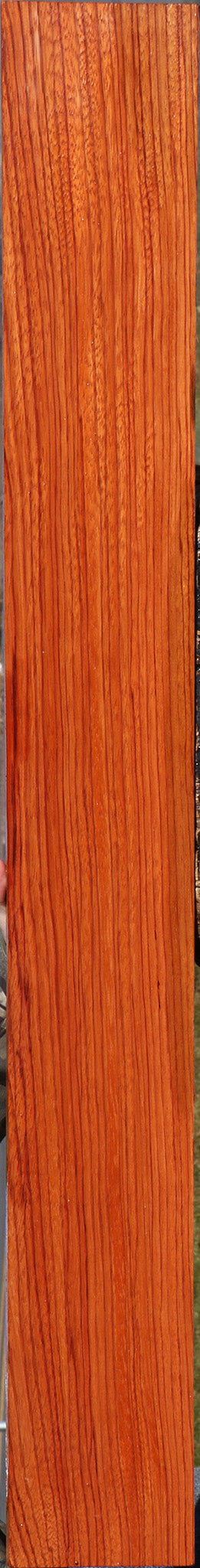 Ebiara Lumber