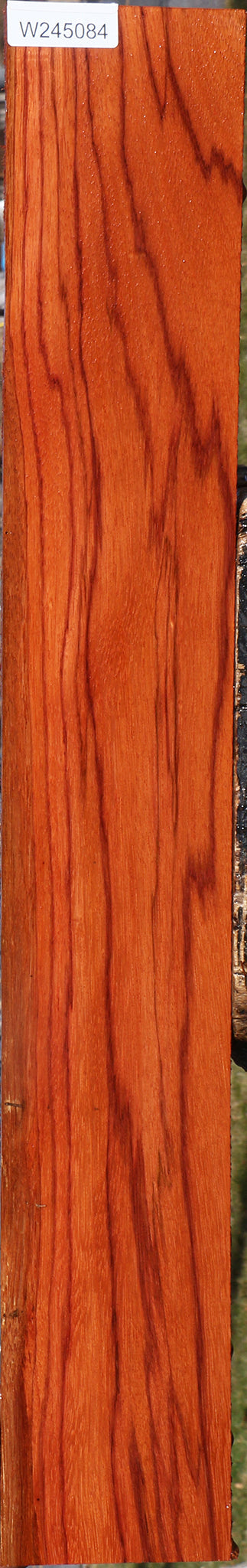 Ebiara Lumber