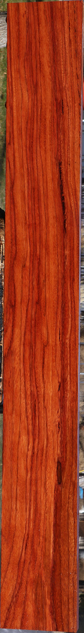 Ebiara Lumber