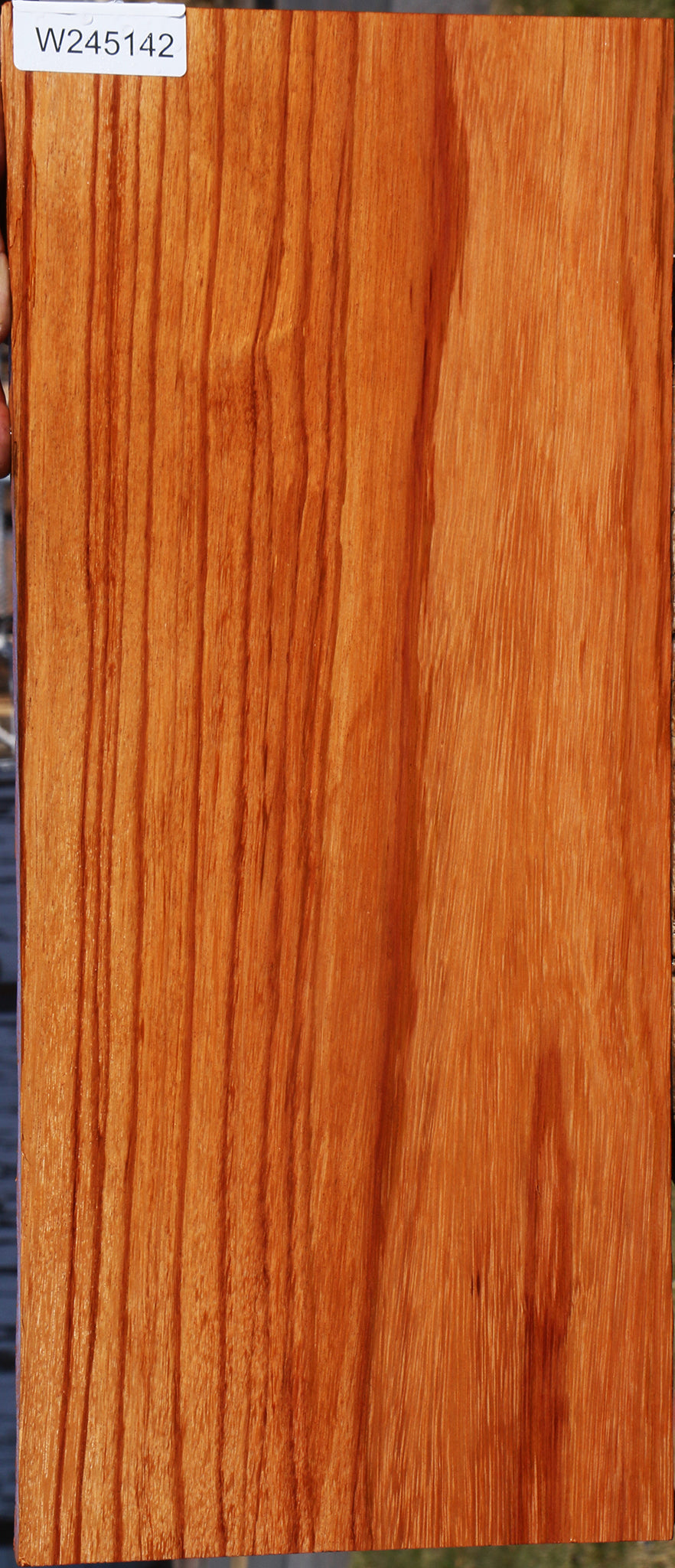 Ebiara Lumber