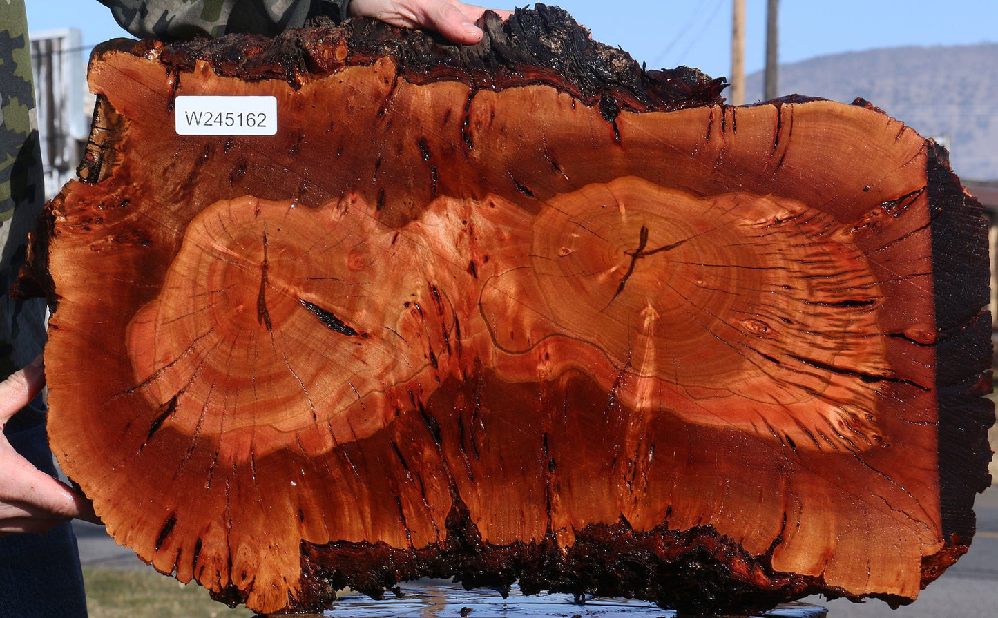 Brazilian Pepperwood Burl Cookie