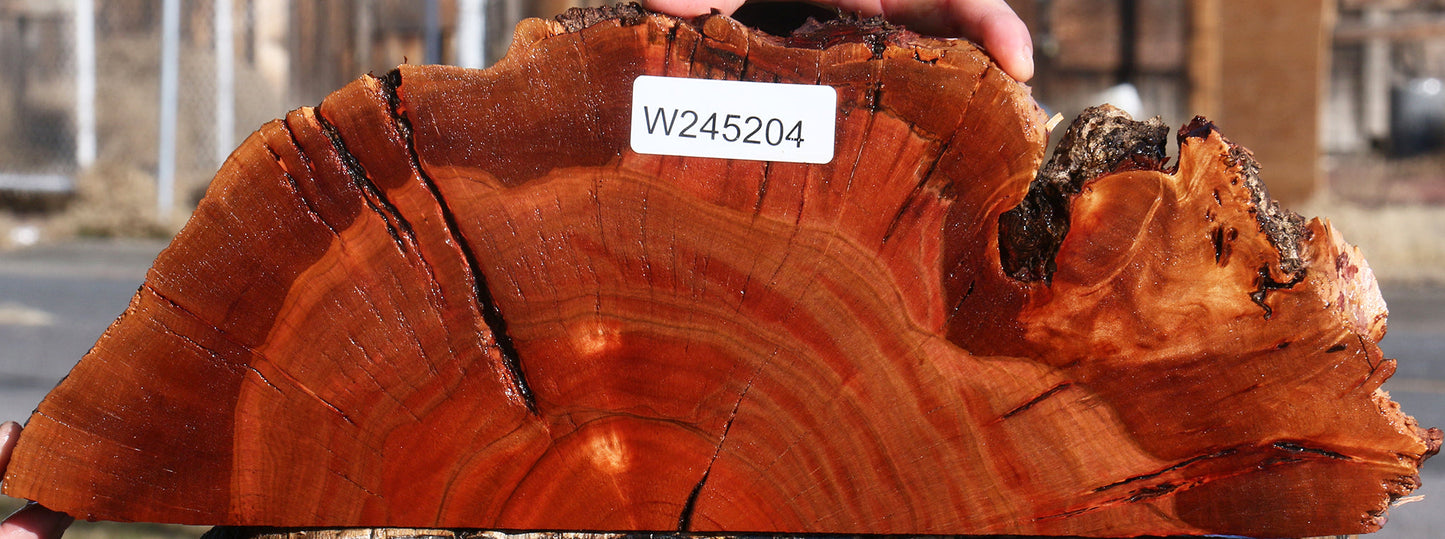 Brazilian Pepperwood Burl Slice