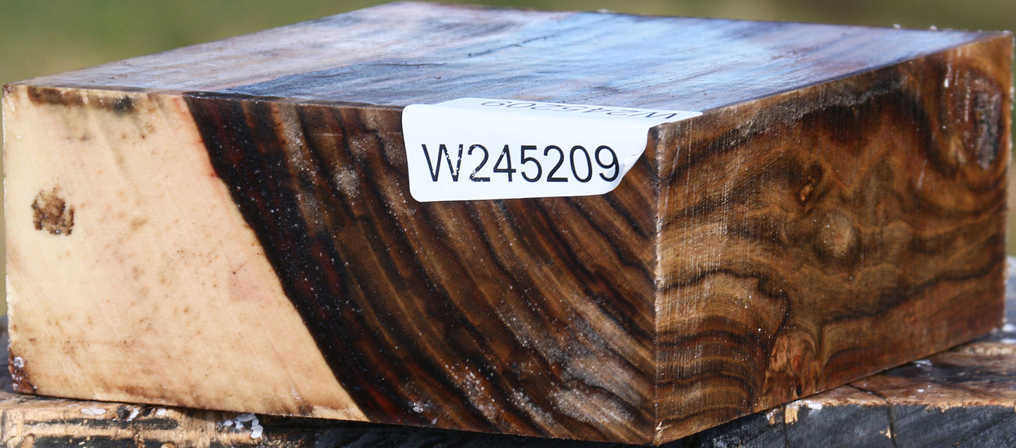 Figured Pistachio Bowl Blank