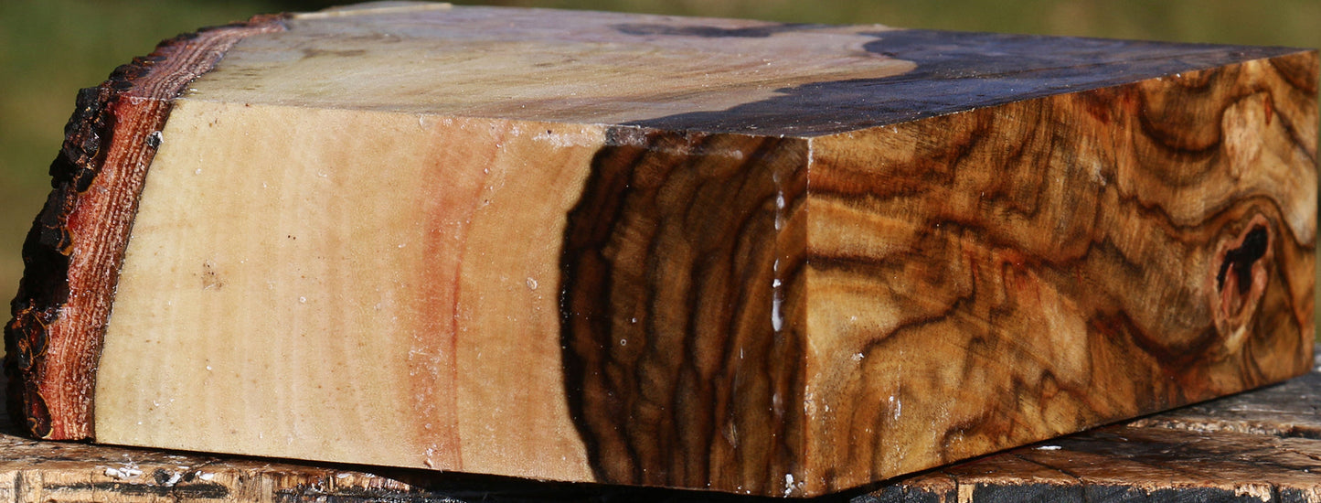 Extra Fancy Pistachio Live Edge Bowl Blank