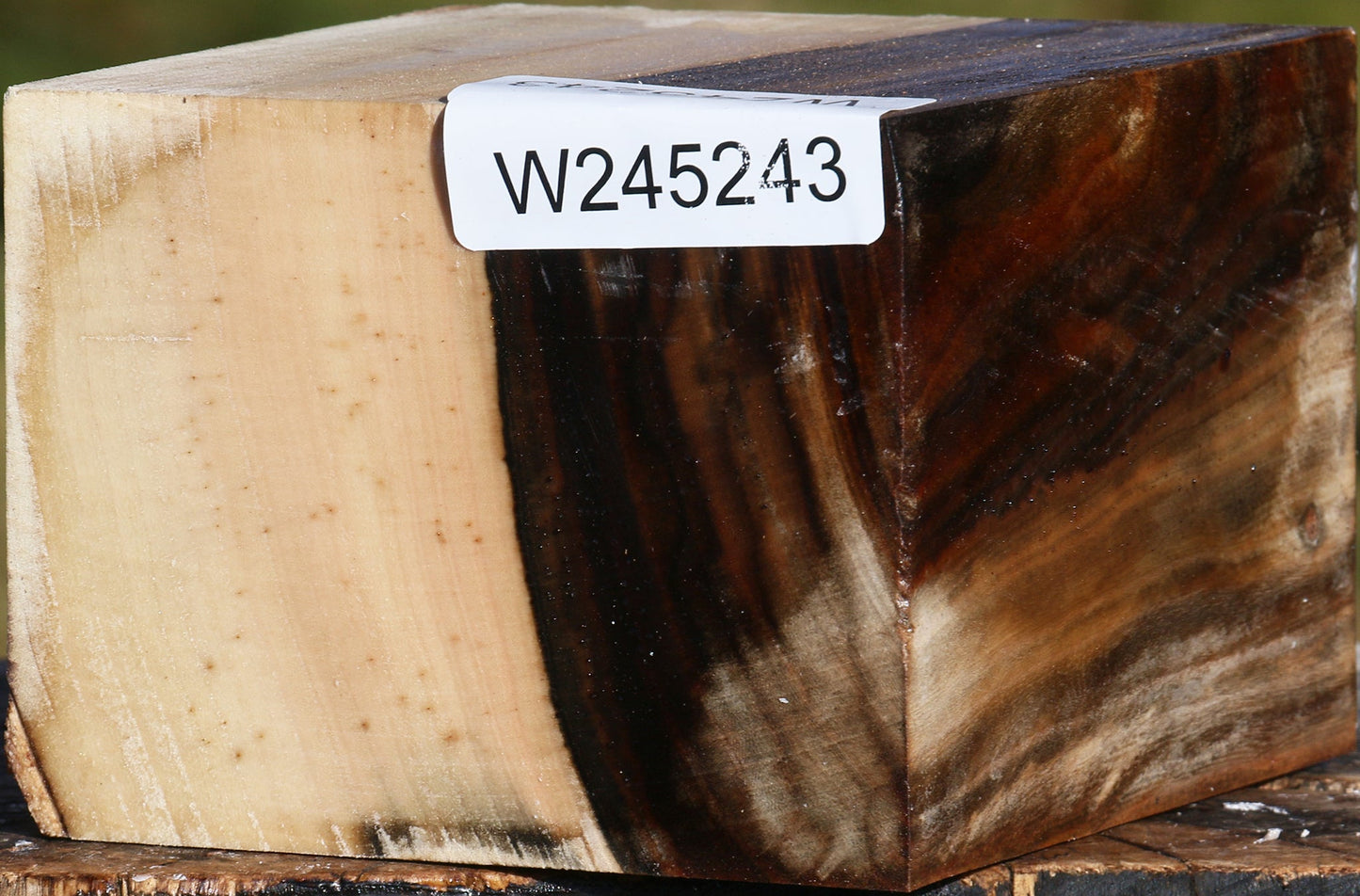 Pistachio Bowl Blank