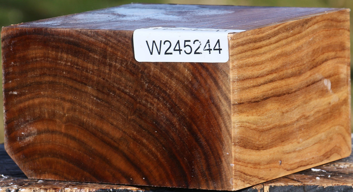 Grafted Pistachio Bowl Blank