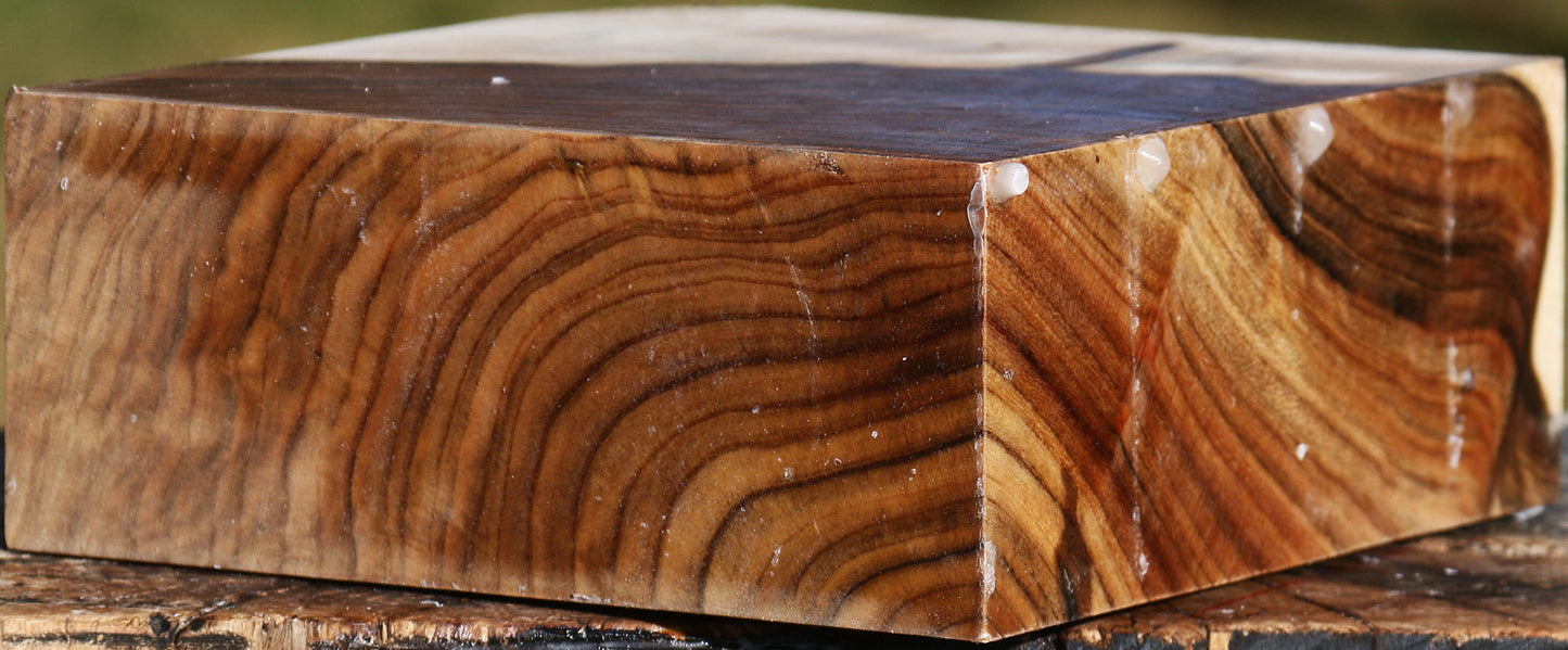 Figured Pistachio Bowl Blank