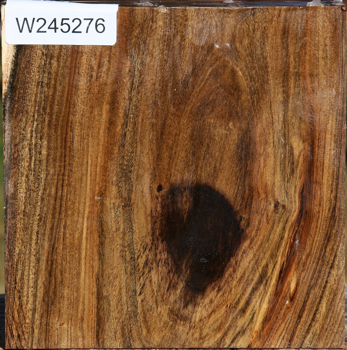 Pistachio Bowl Blank