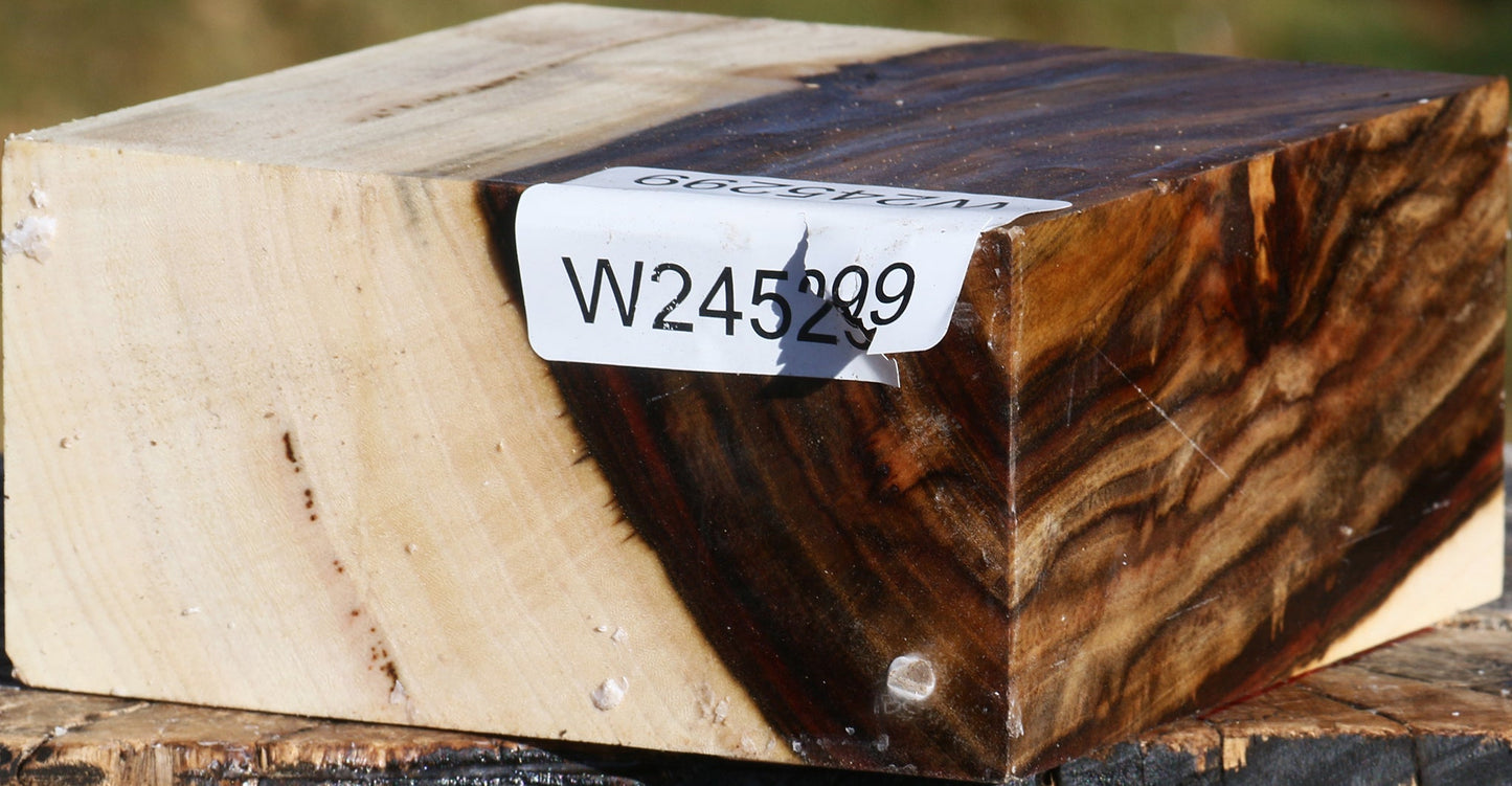 Figured Pistachio Bowl Blank