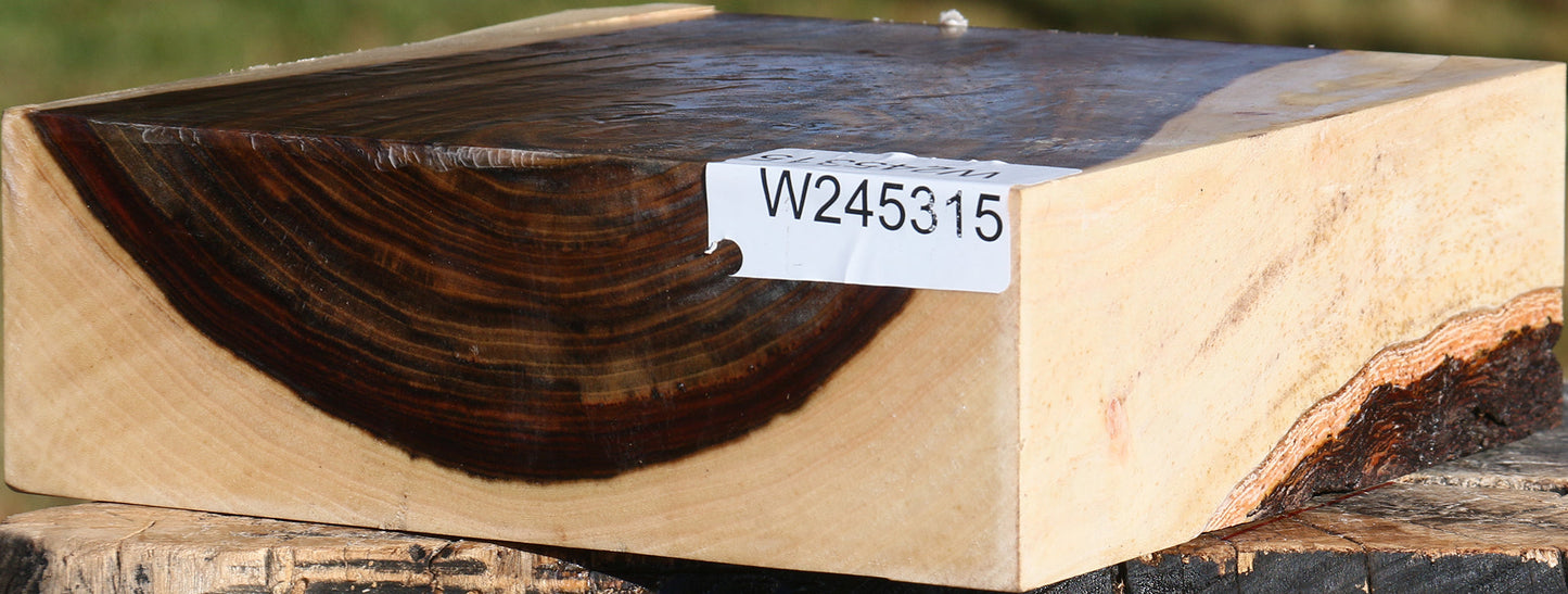 Pistachio Bowl Blank