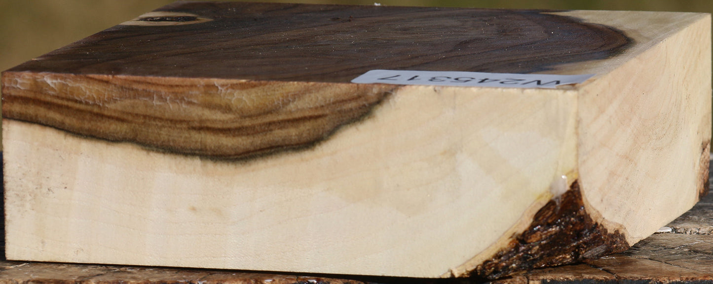 Figured Pistachio Bowl Blank