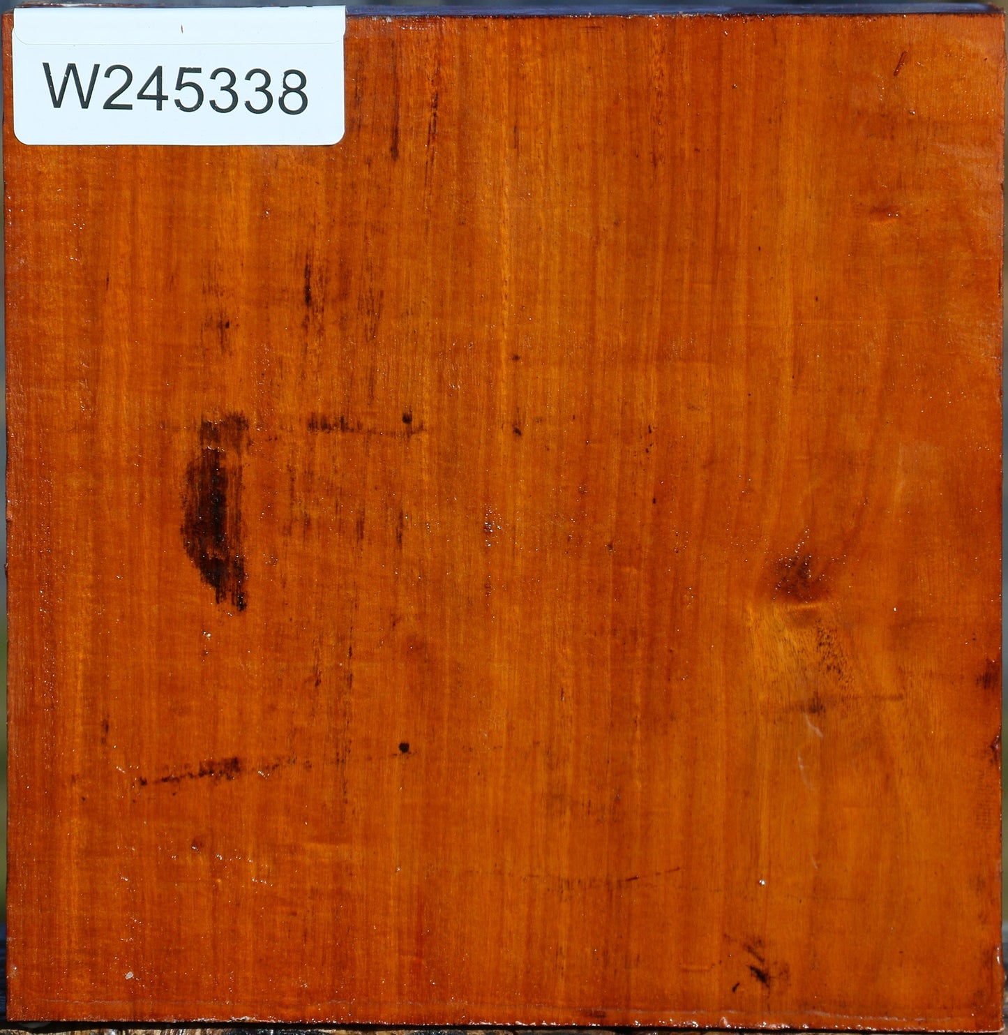 Figured Pernambuco Bowl Blank