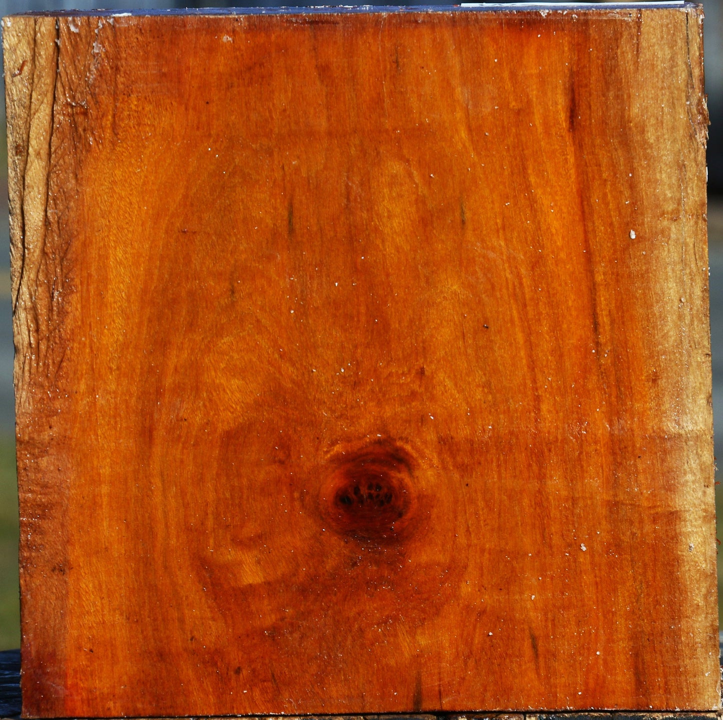 Figured Pernambuco Bowl Blank