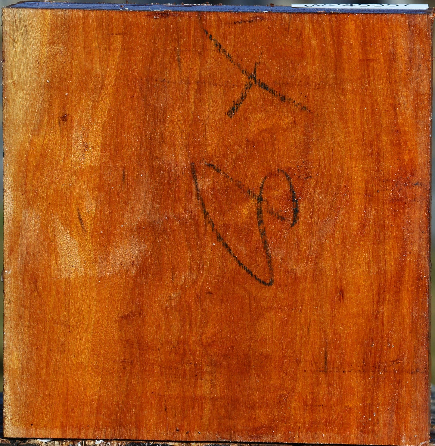 Figured Pernambuco Bowl Blank