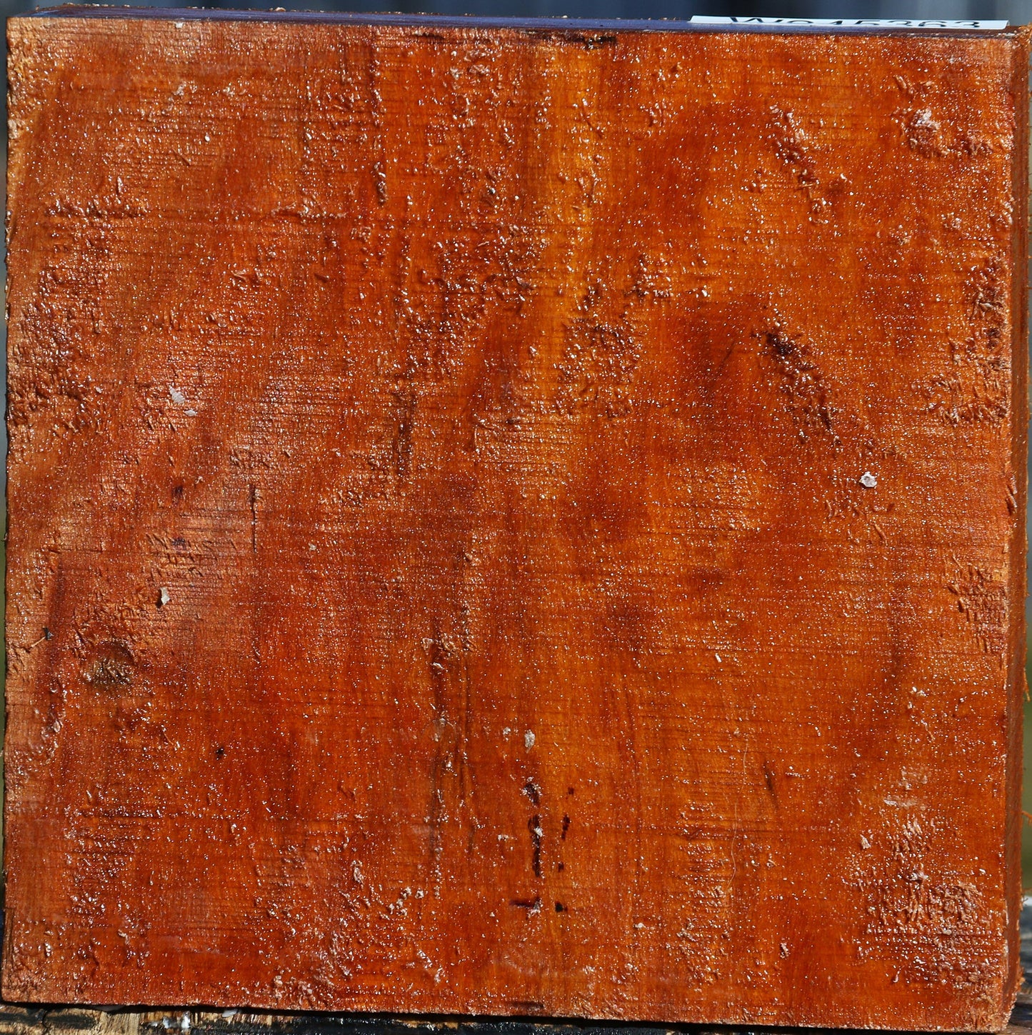 Pernambuco Bowl Blank
