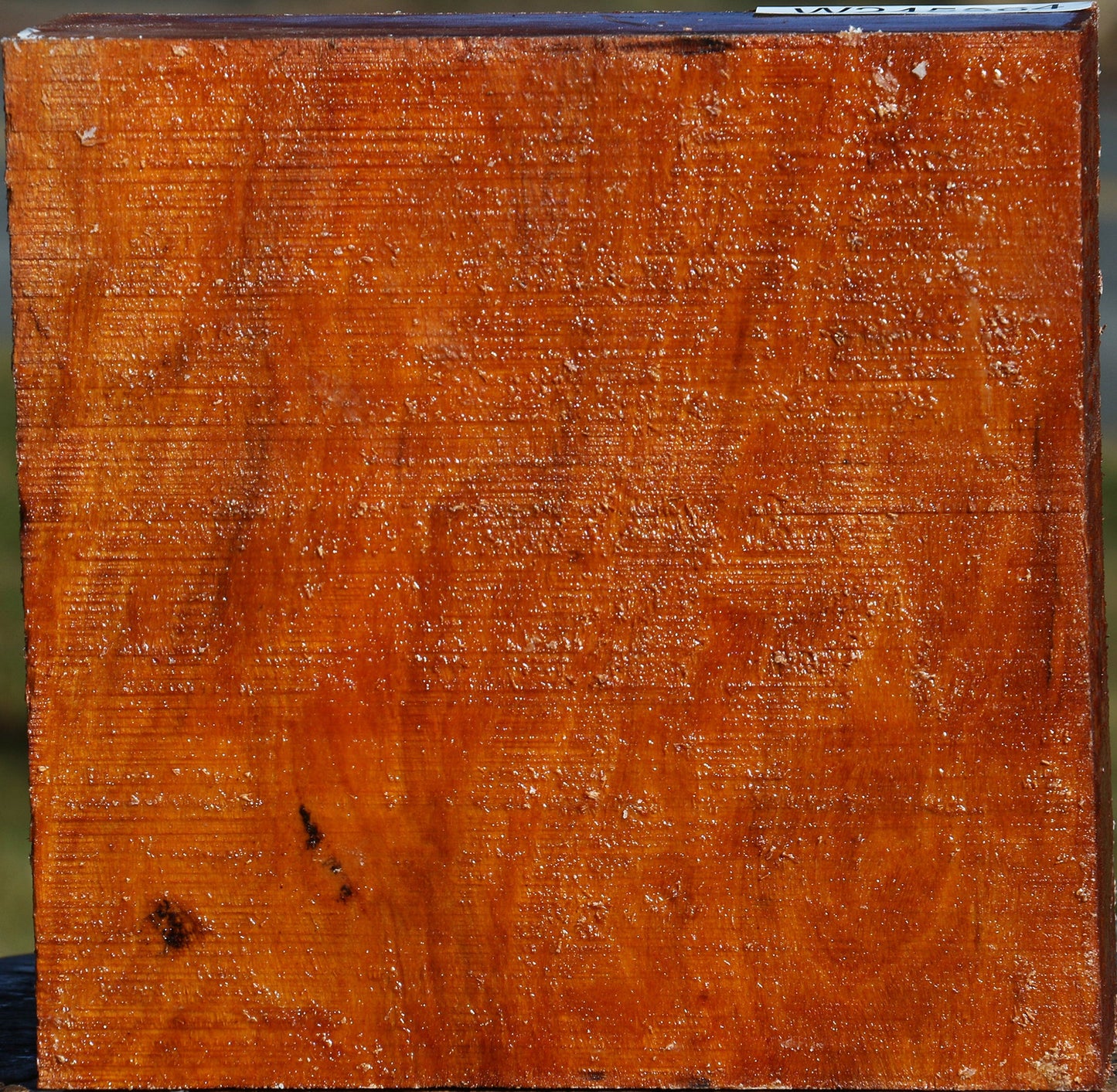 Pernambuco Bowl Blank