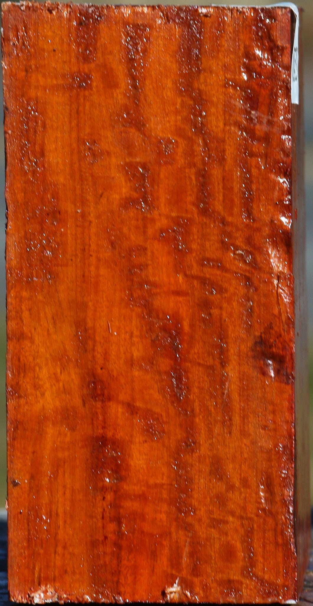 Extra Fancy Pernambuco Bowl Blank