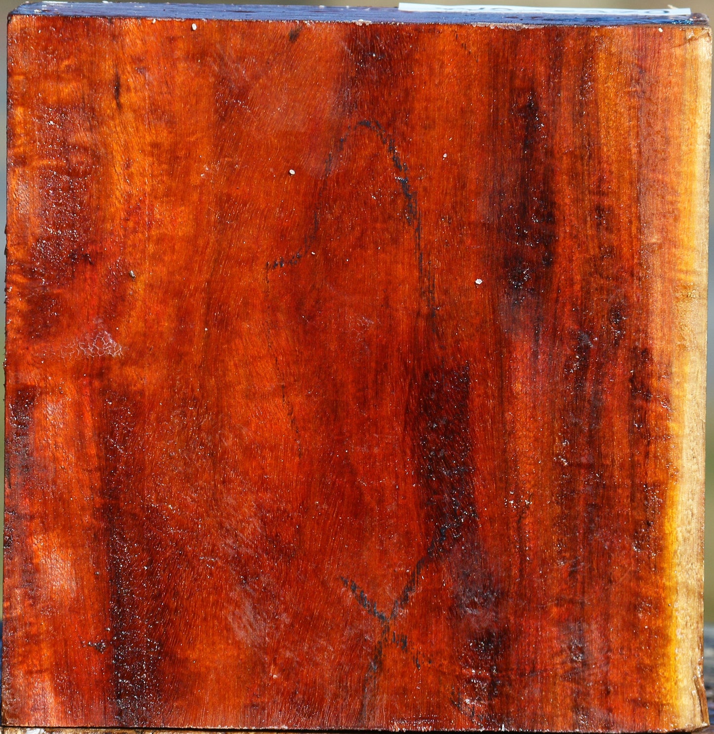 Figured Pernambuco Bowl Blank