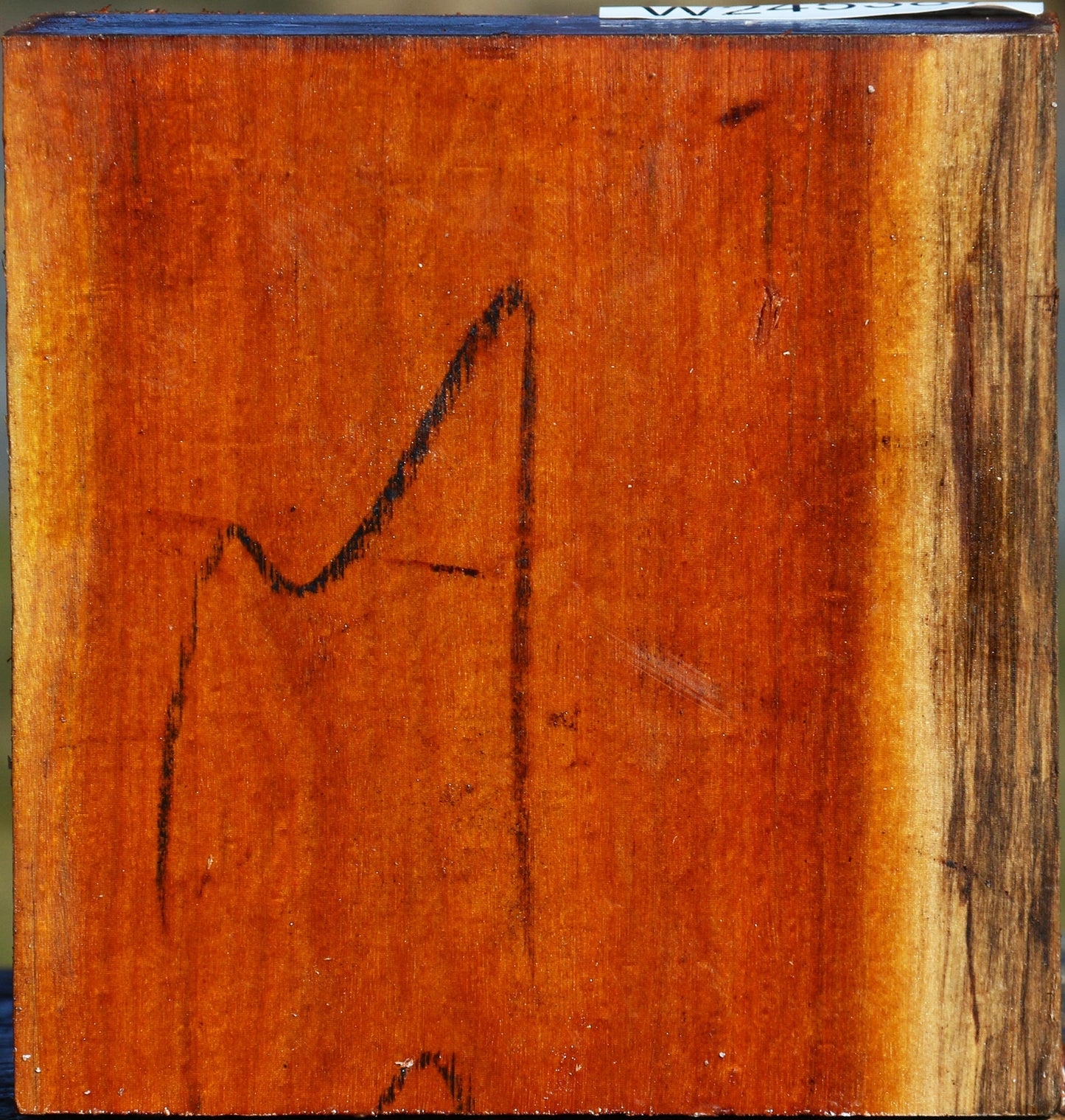 Pernambuco Bowl Blank