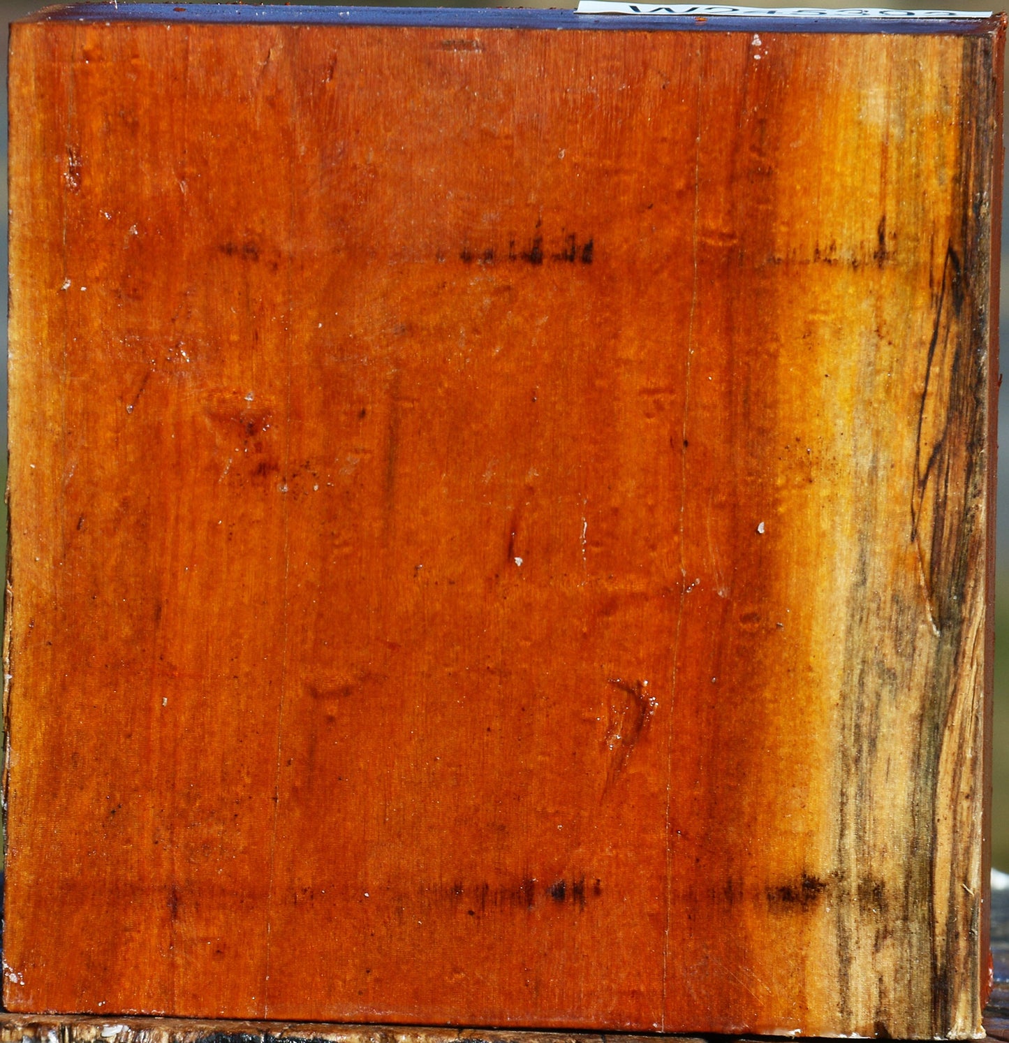 Figured Pernambuco Bowl Blank