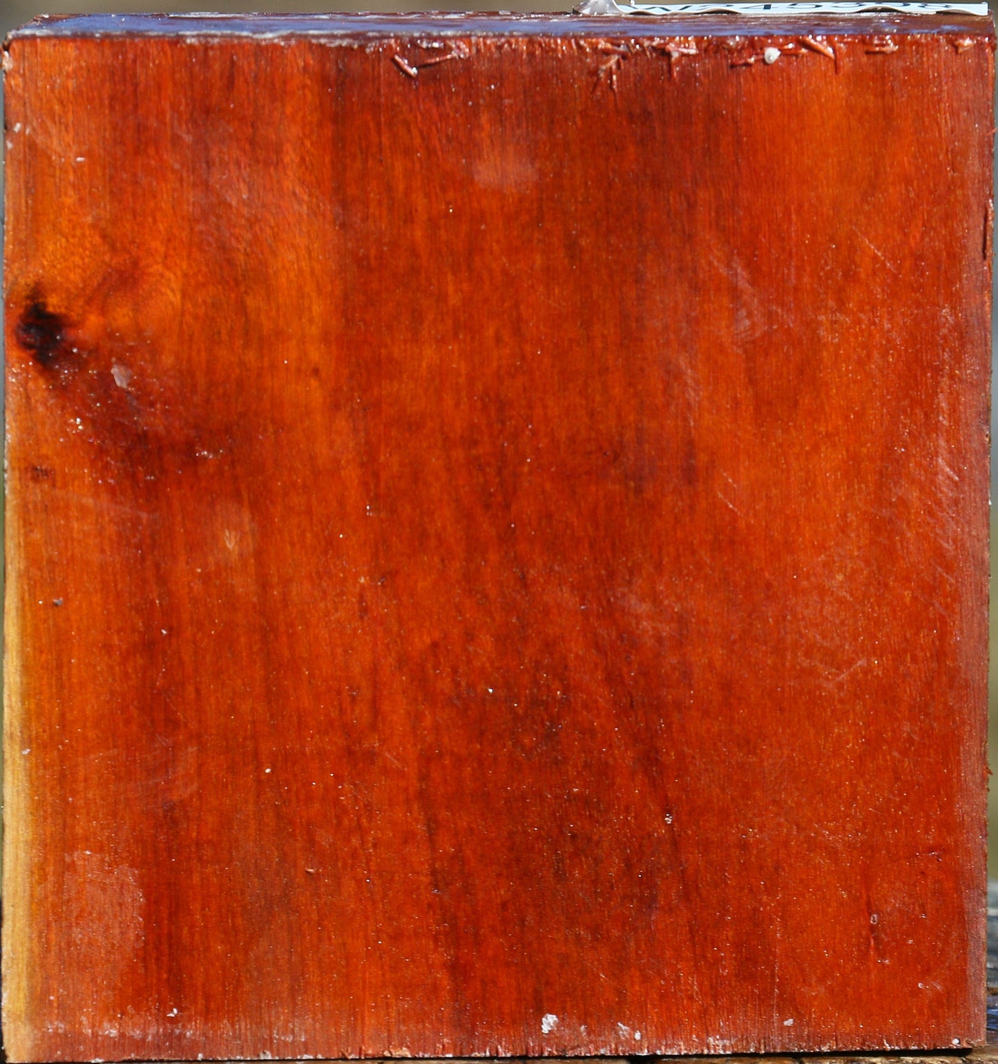 Pernambuco Bowl Blank