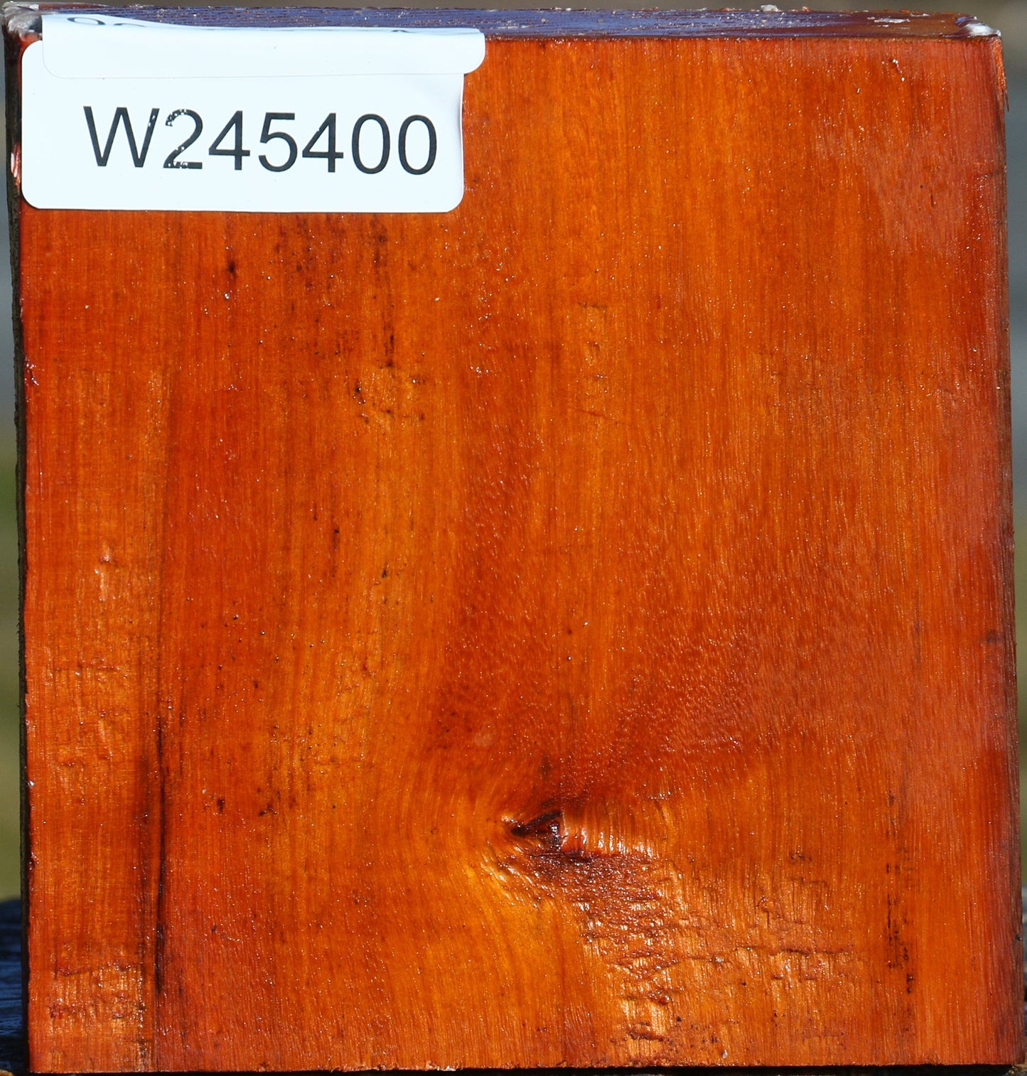 Pernambuco Bowl Blank