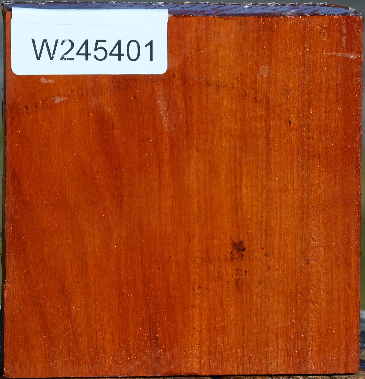 Pernambuco Bowl Blank