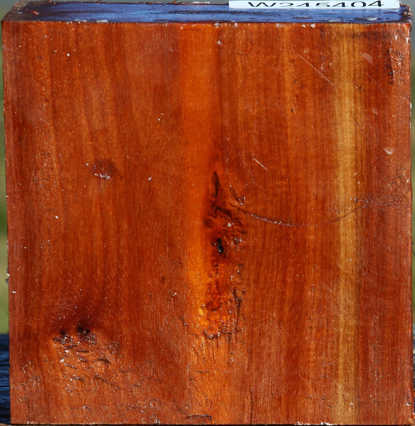 Pernambuco Bowl Blank