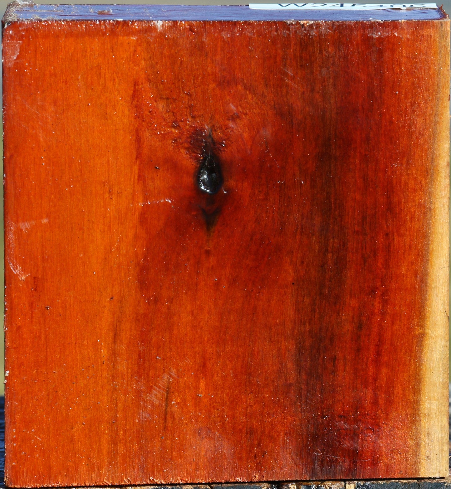 Pernambuco Bowl Blank