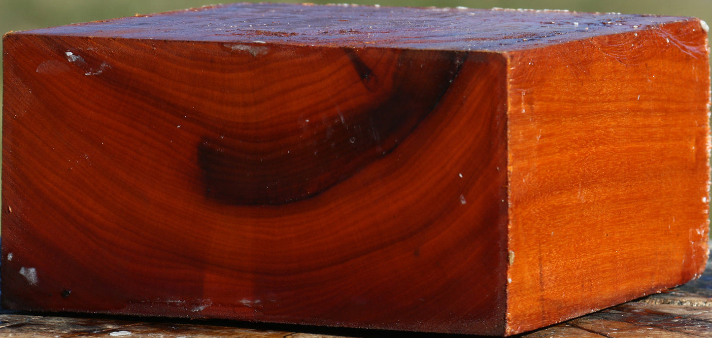 Pernambuco Bowl Blank