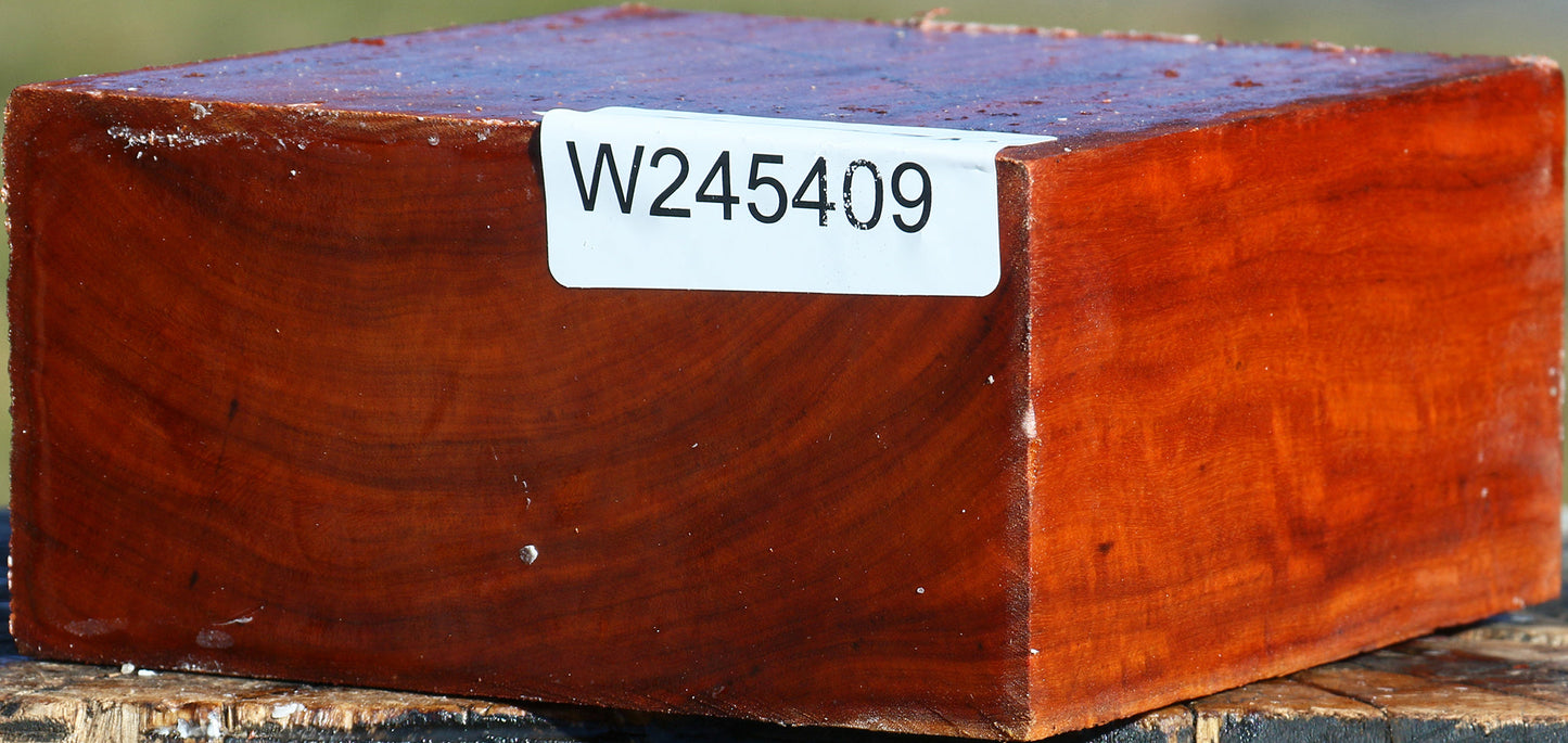 Figured Pernambuco Bowl Blank