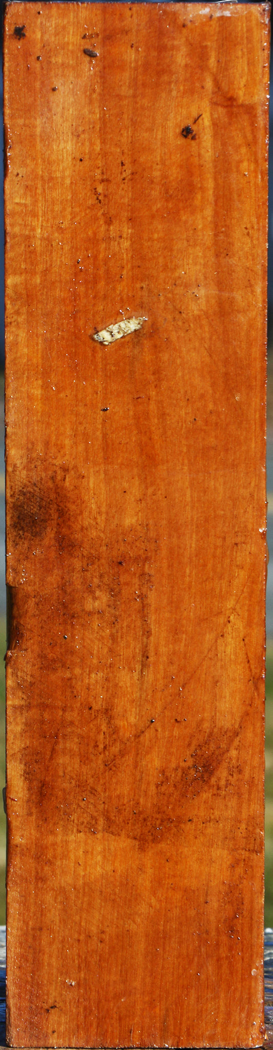 Pernambuco Peppermill