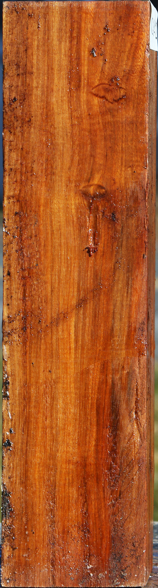 Pernambuco Peppermill