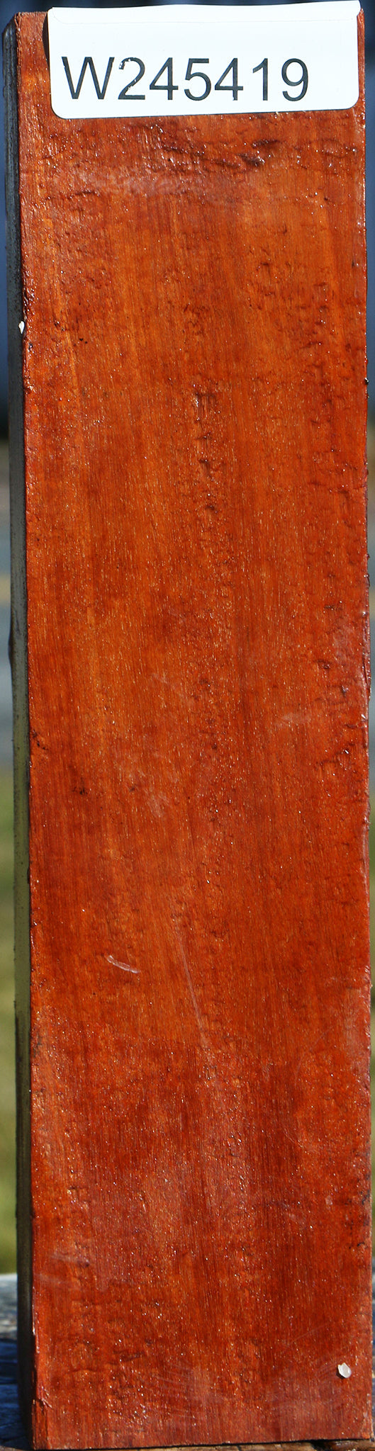 Pernambuco Peppermill