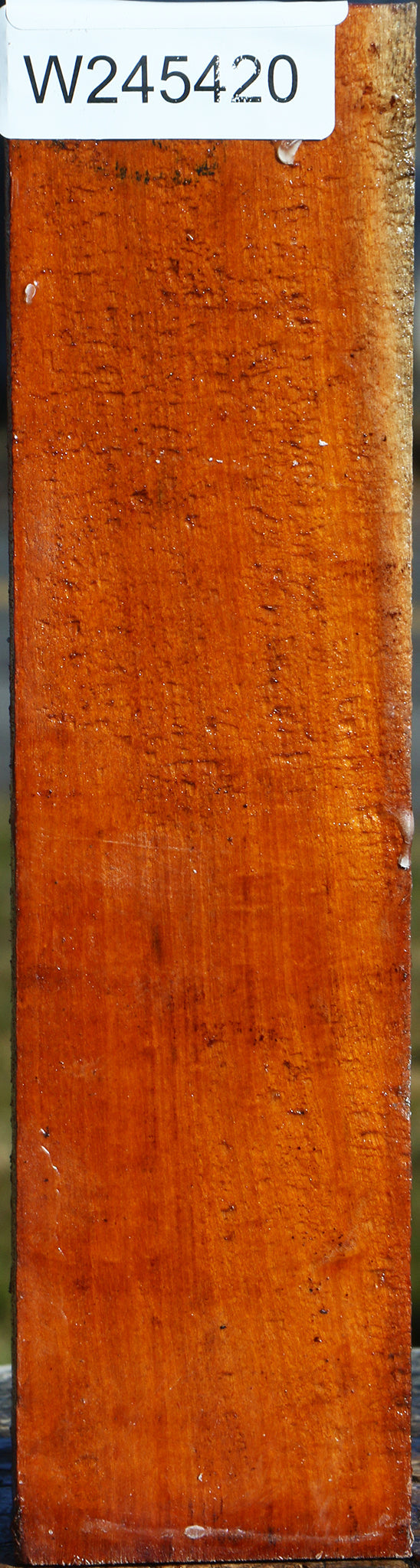 Figured Pernambuco Peppermill