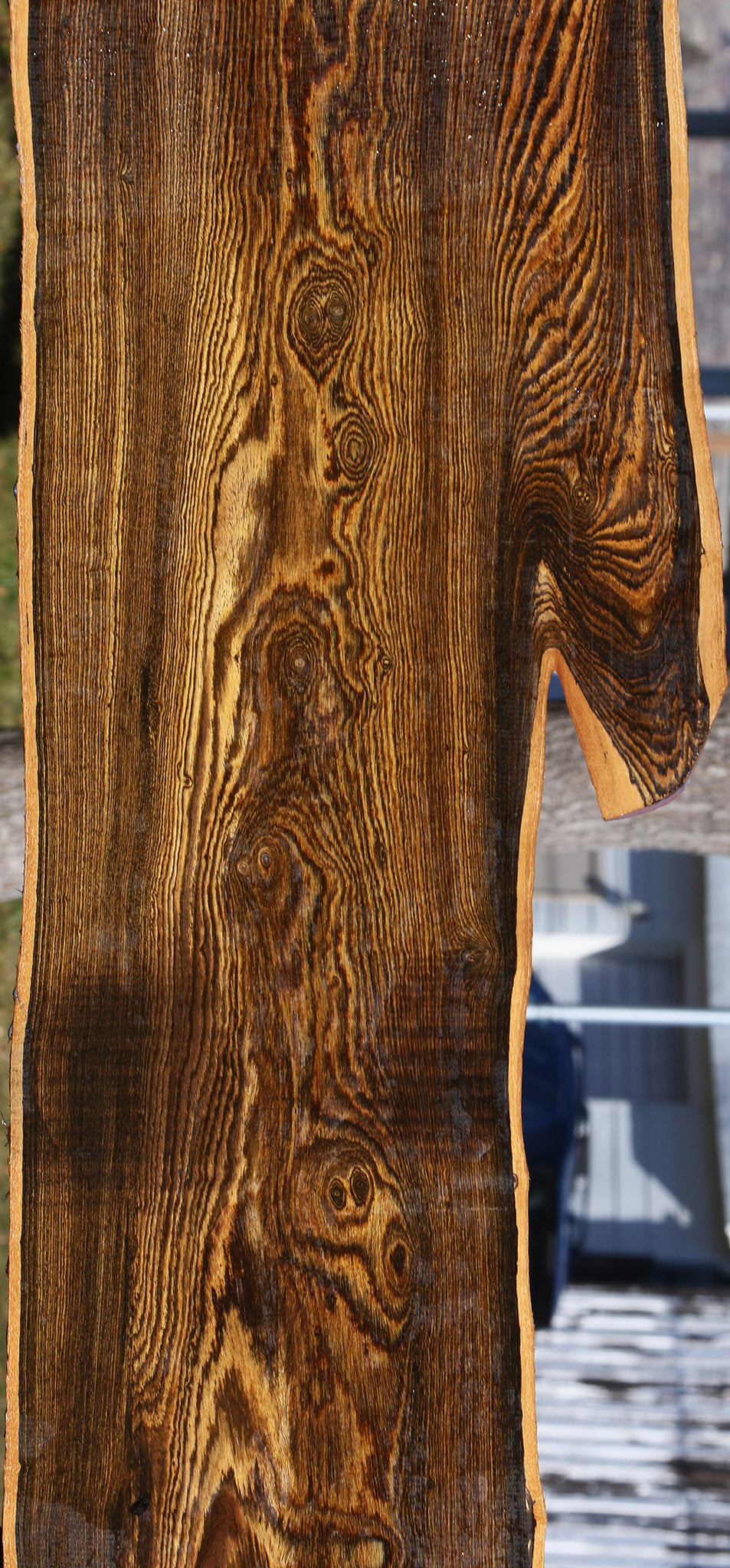 Figured Bocote Live Edge Slab (Free Shipping Excluded)