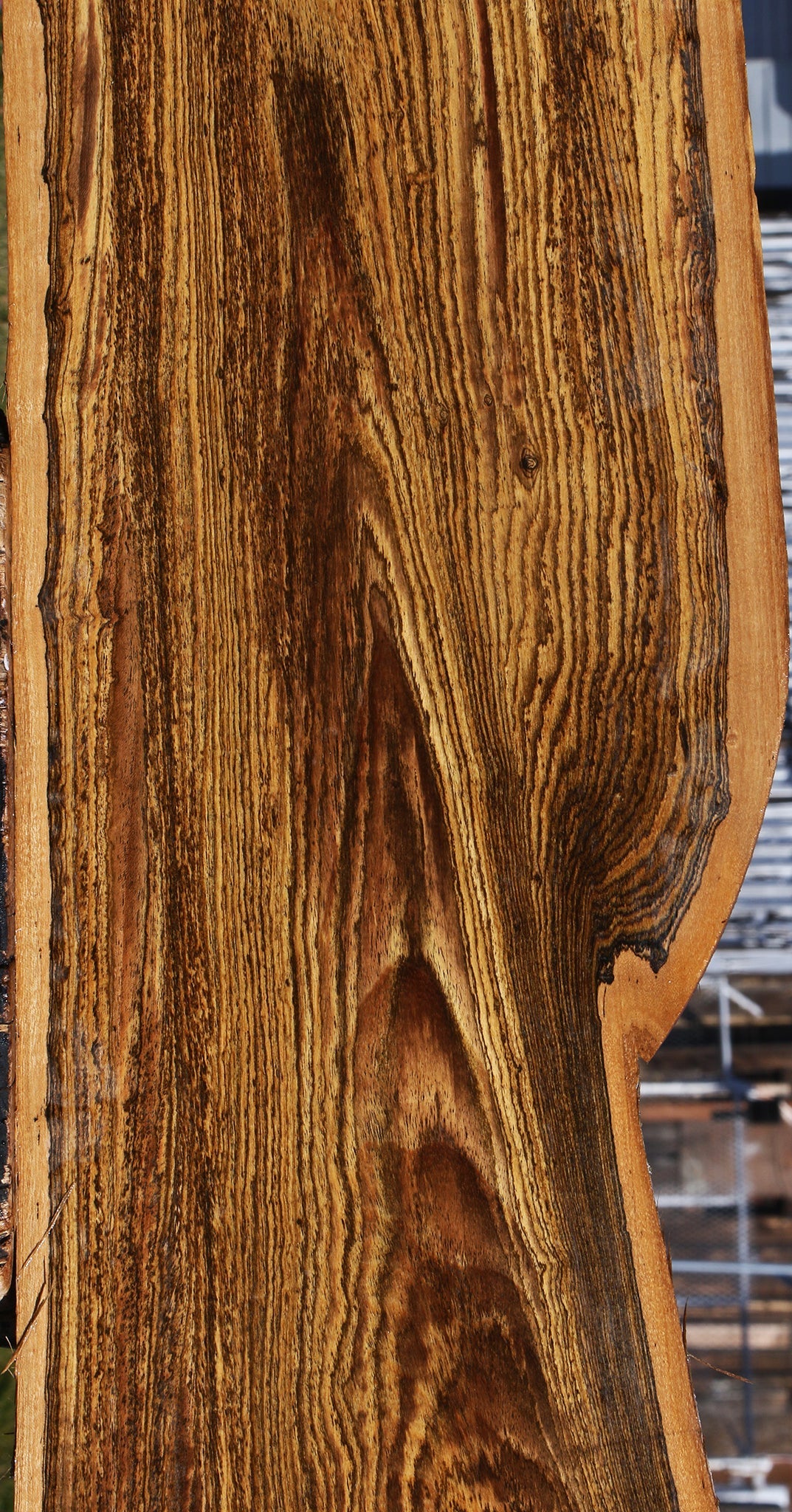 Bocote Live Edge Lumber