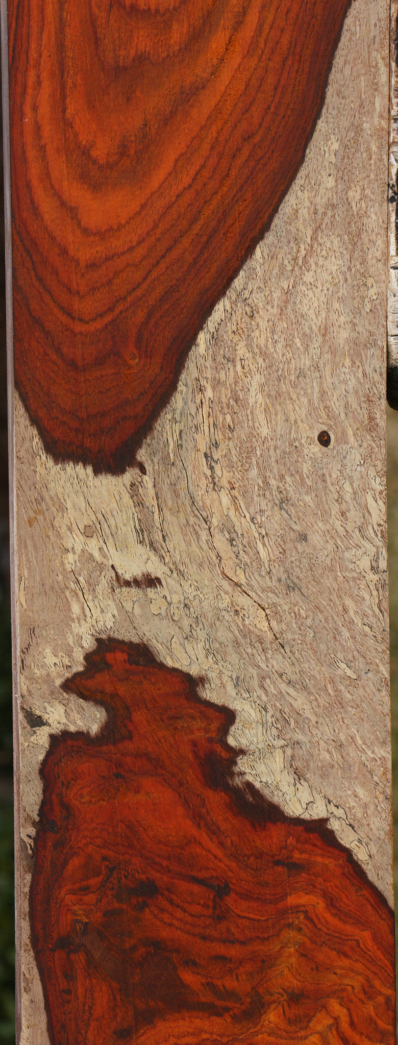 Extra Fancy Cocobolo Lumber