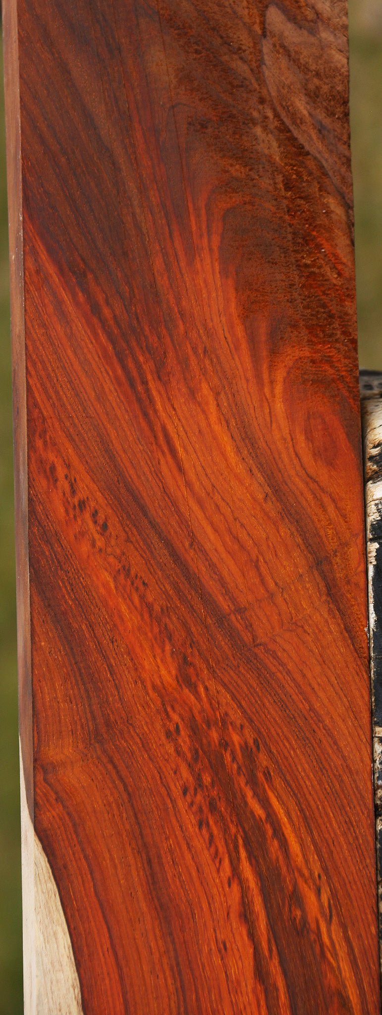 Cocobolo Lumber