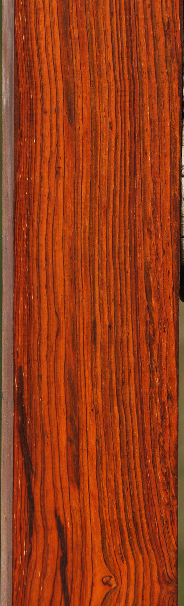 Cocobolo Lumber