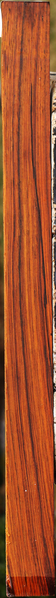 Cocobolo Lumber