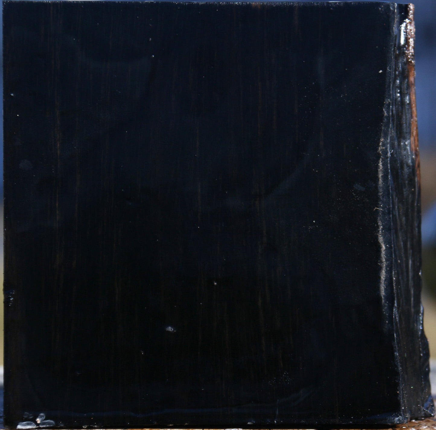 Gabon Ebony Live Edge Bowl Blank