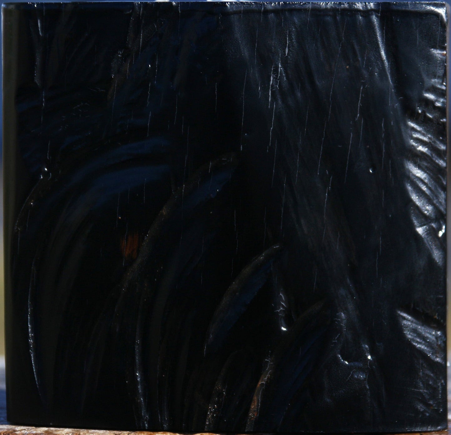 Gabon Ebony Half Log