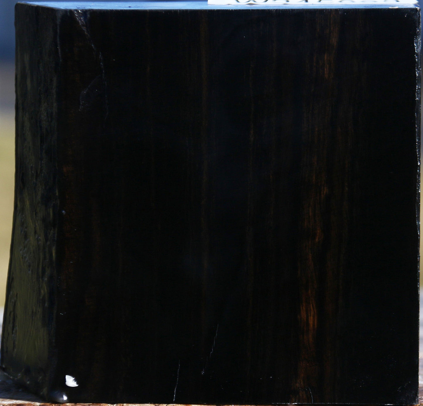 Gabon Ebony Bowl Blank